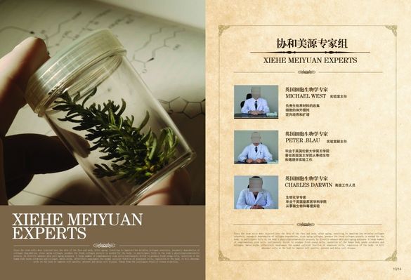聚焦北大荒｜黑龙江省水稻研究所专家团队到八五九开展水稻高产测